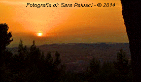 INGRANDISCI: fotografia di Sara Palusci