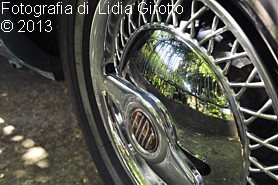 INGRANDISCI: foto di Lidia Girotto