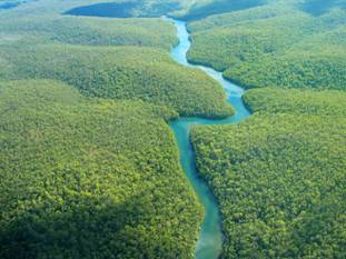 http://www.inmeteo.net/blog/wp-content/uploads/2012/12/amazzonia.jpeg